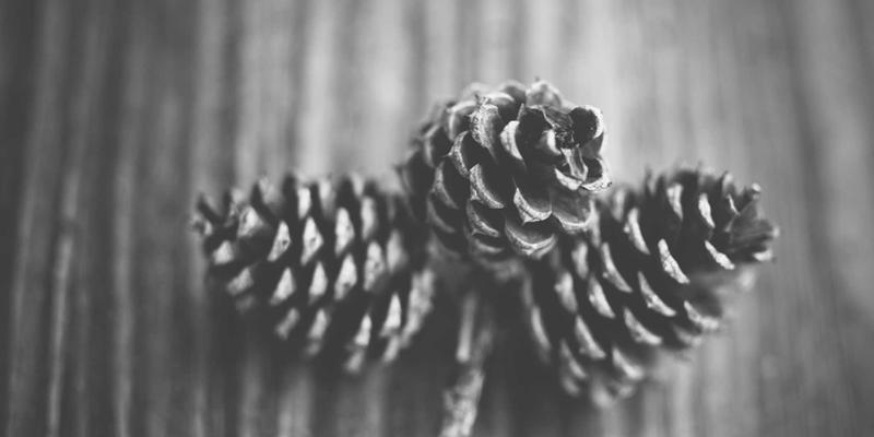 从“滴油”到“智油”：工业设备润滑管理标准化如何为中国制造强筋健骨