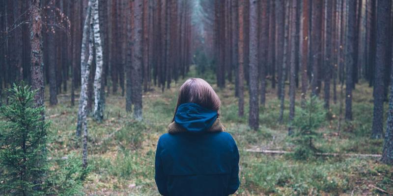 超越采购价：工业设备全生命周期成本管理的智慧之道